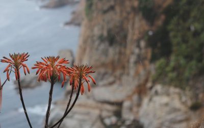 L&rsquo;amour n&rsquo;a pas besoin d&rsquo;être parfait, seulement d&rsquo;être vrai