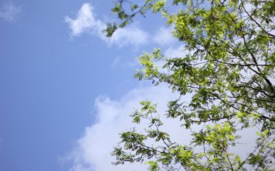 Exercice: Quelle vie affective dans 3 mois ?