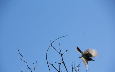 Relations inachevées, comment s&rsquo;en libérer ?