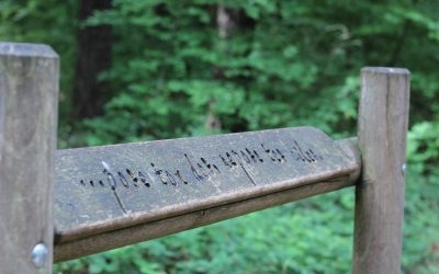 Le coaching amoureux, c’est bien mais pour les autres 