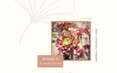 Enrichir ses relations avec la banque d&rsquo;amour