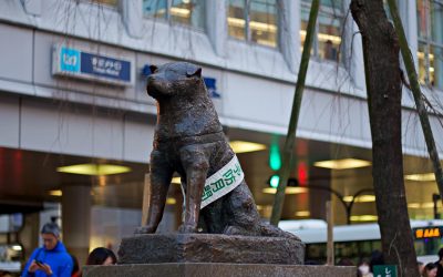 Apprendre à poser ses limites