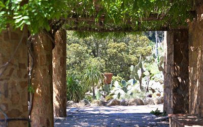 Drague de rue: art ancestral oublié