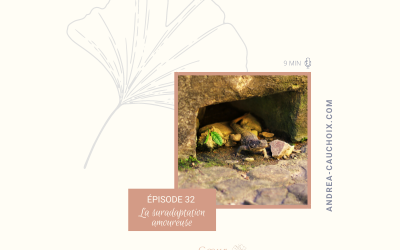 La suradaptation amoureuse