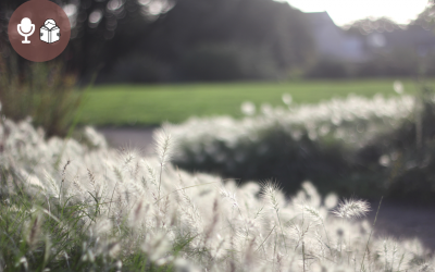 Crises de couple : Les neufs phases critiques