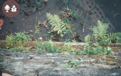 Comment trouver son orientation relationnelle ? Couple exclusif, polyamour, non monogamie…