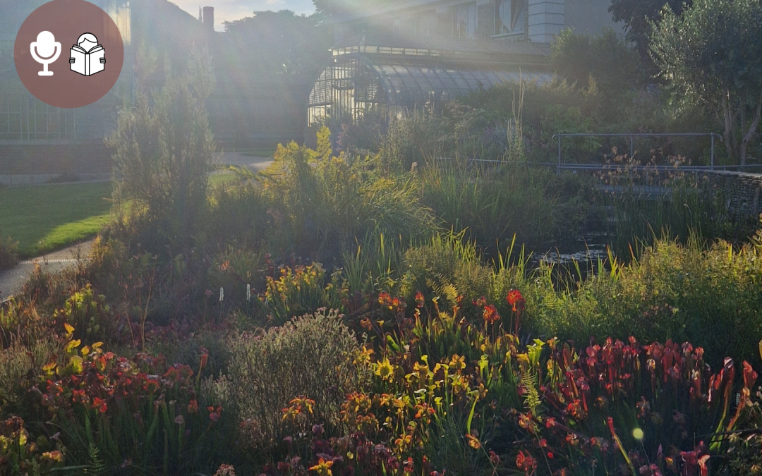 L’amour, le couple… et la parentalité qui s’en mêle