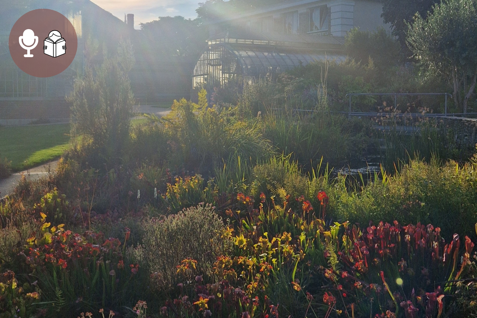 L’amour, le couple et la parentalité