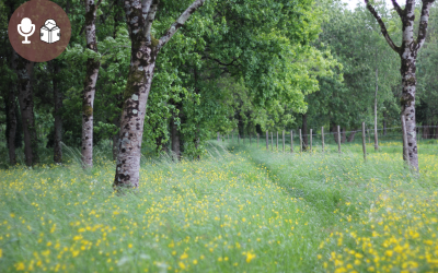 Et si en 2026, on arrêtait de se trahir en amour ?